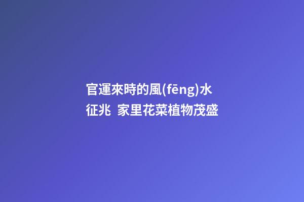 官運來時的風(fēng)水征兆  家里花菜植物茂盛